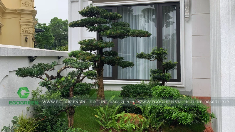 8 nguyên tắc vàng trong thiết kế sân vườn biệt thự cao cấp